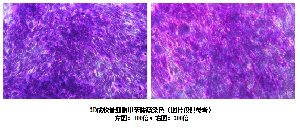 1681097891019008554.png 圖片.png