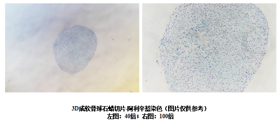 1681098017266072269.png 圖片.png