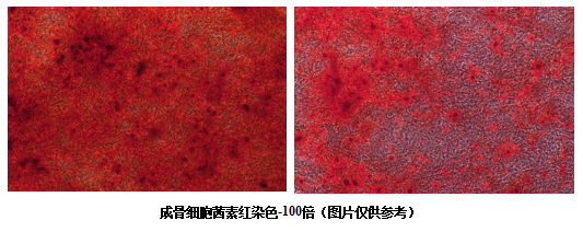 1681104468888099349.png 圖片.png