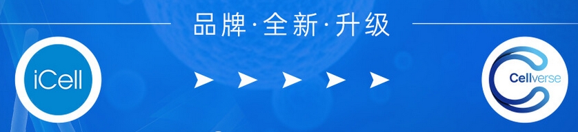 1709111139495063415.jpg 7777777.jpg