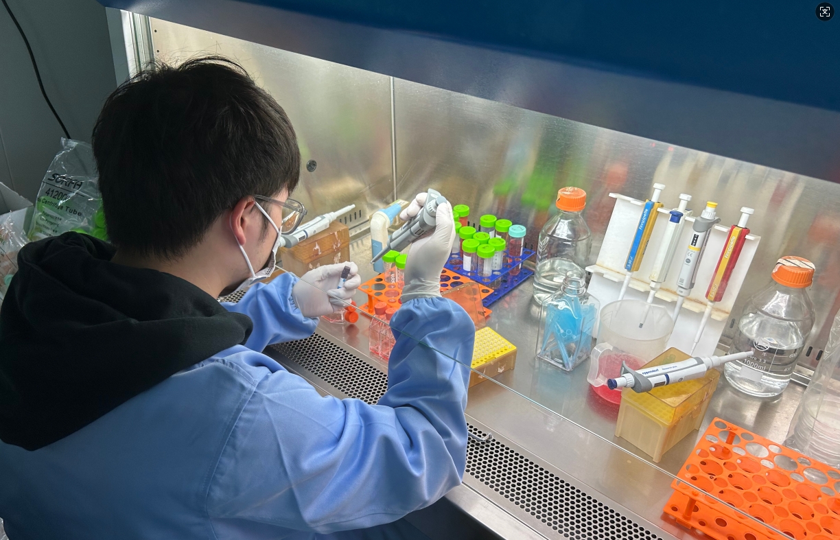 1750987151256005582.jpg 1750987151256005582.jpg