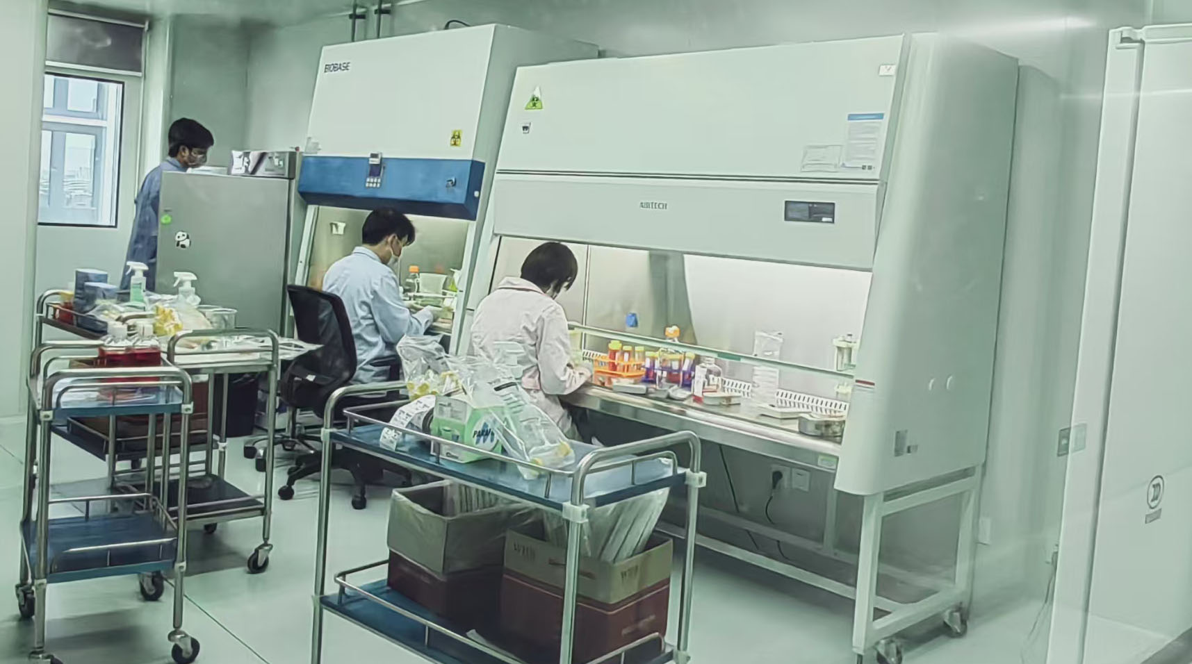 1750987505743042121.jpg 1750987505743042121.jpg