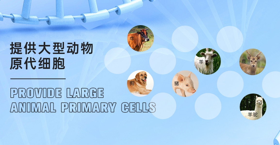 1750987600379025019.jpg 1750987600379025019.jpg