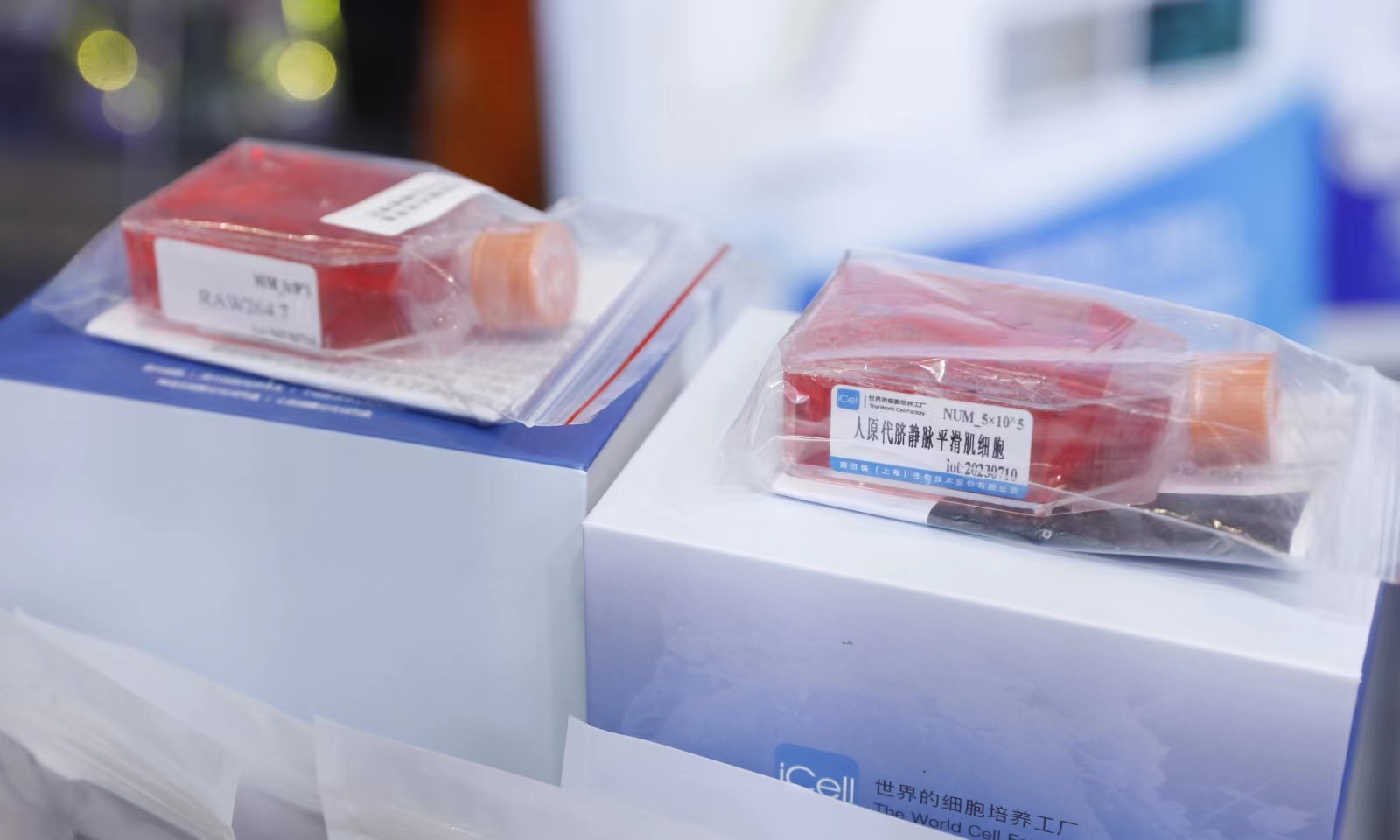 1750988265358021782.jpg 1750988265358021782.jpg