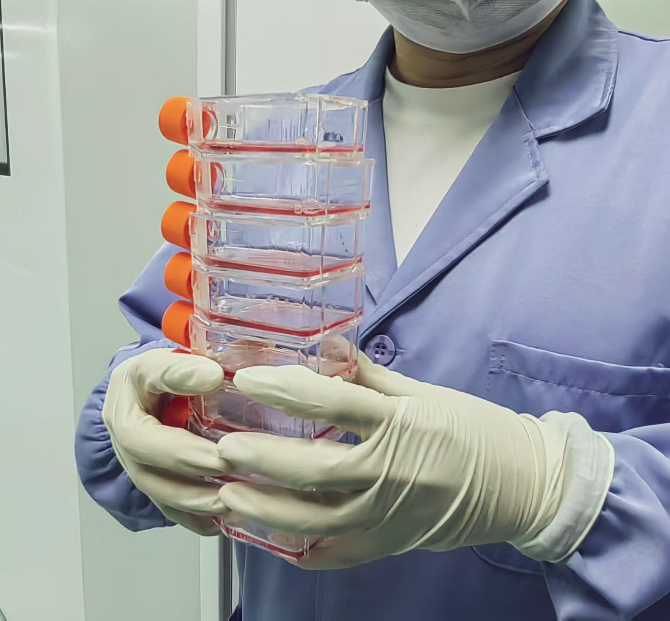 1750988335541068775.jpg 1750988335541068775.jpg