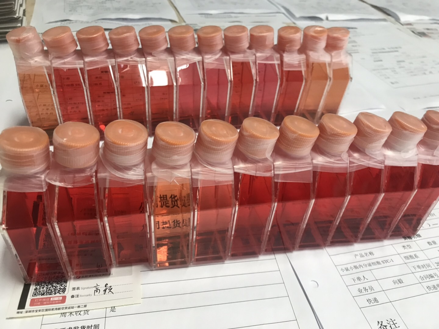 1750990300740067970.jpg 1750990300740067970.jpg