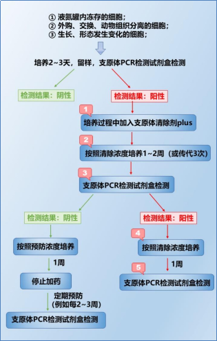 1774250493299050744.png 圖片.png