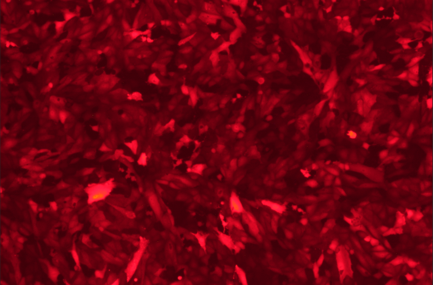 微信圖片_20260513154833_408_6.png